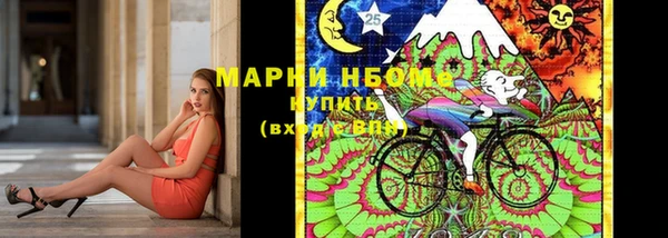 сатива Сясьстрой