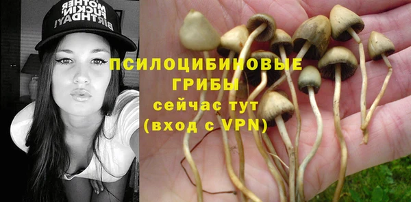 прущая мука Гусиноозёрск