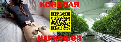 спиды Волгодонск