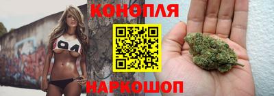 спиды Волгодонск