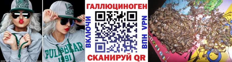 Галлюциногенные грибы мухоморы Великие Луки