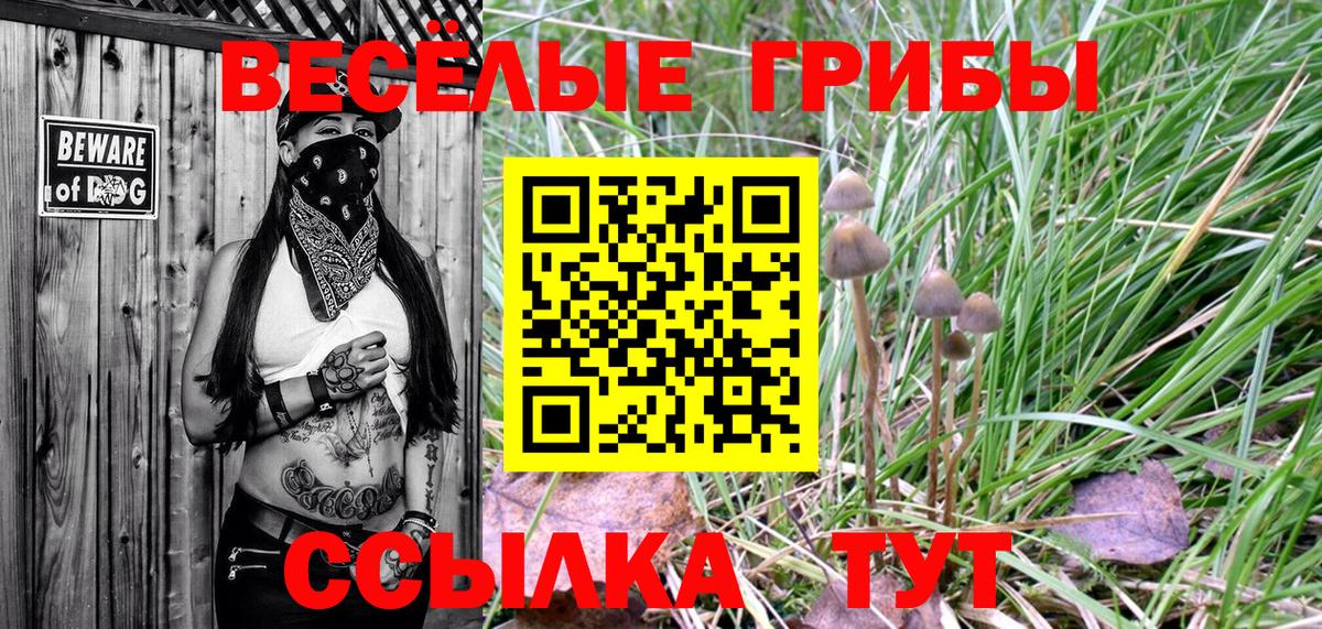 Галлюциногенные грибы мицелий  Вход с VPN  закладки  Великие Луки 
